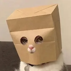 13512420