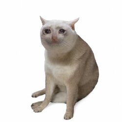 12288046