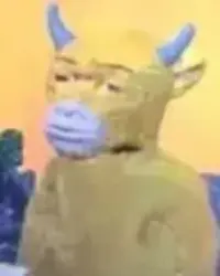 13578686