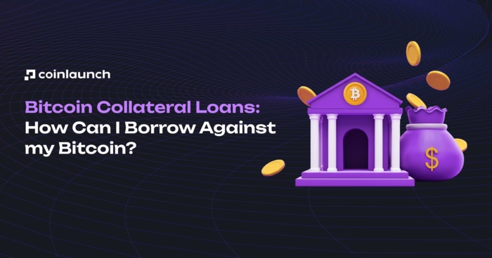 Bitcoin Collateral Loans