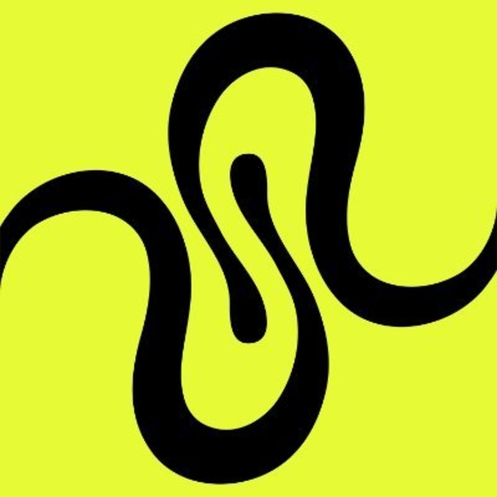 Squid Router - Logo.
