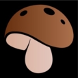 Mycorealms