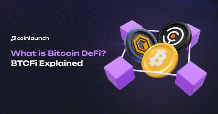  BTCFi Full Guide
