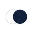 LVNA Capital logo
