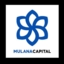 Mulana logo