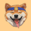 BitDoge Logo