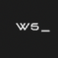 WS logo