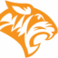 tiger global management
