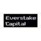 Everstake Capital logo