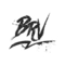BlueRun Ventures logo