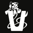 Vana AI logo
