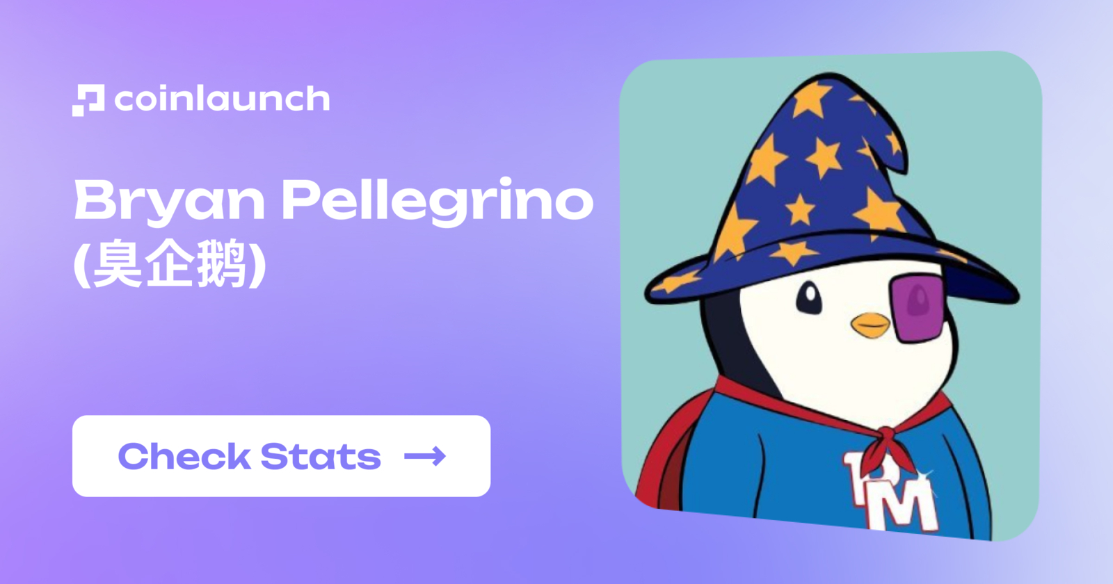 Bryan Pellegrino: Statistics, Performance Overview & Supported Projects