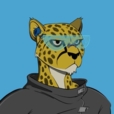 DeFi Cheetah - e/acc