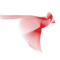 RedBird Capital Partners Logo