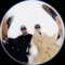 Pharrell Williams - Photo from social media