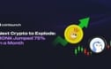 Next Crypto to Blow? BONK & PENGU Fly and Potential 3X from $ZEFY 