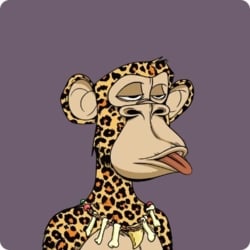 Greg Solano