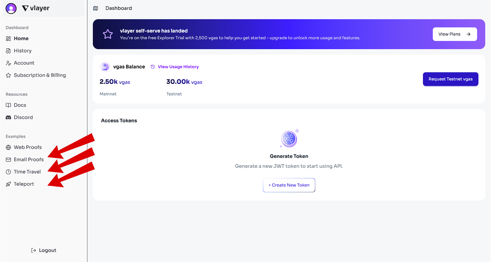 Vlayer airdrop NFTs mint screen