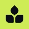 Thrive Protocol - Logo.