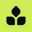 Thrive Protocol - Logo.