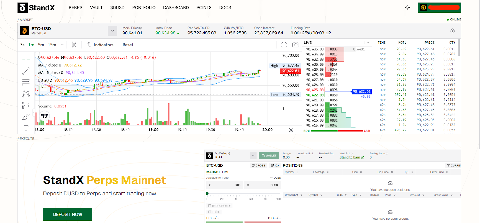 StandX perp trading