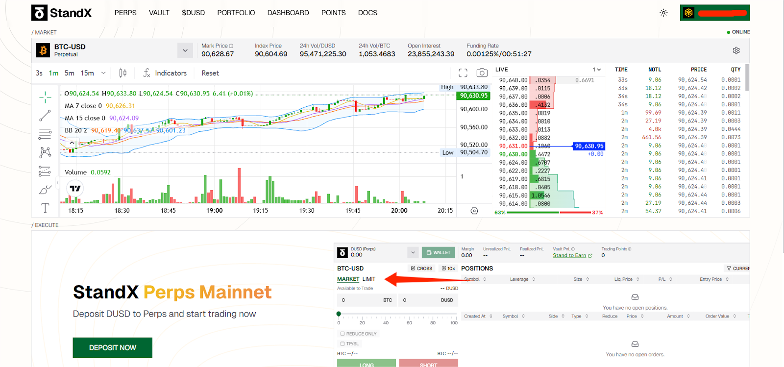 StandX maker points